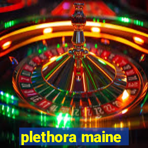 plethora maine